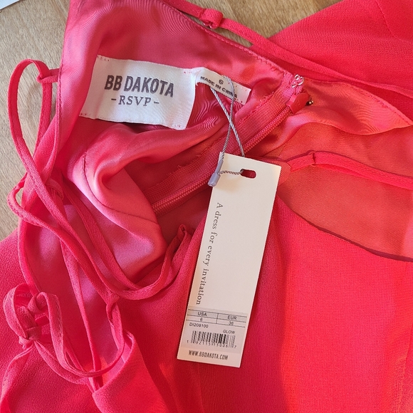 BB Dakota Coral Maxi Dress - Picture 6 of 6